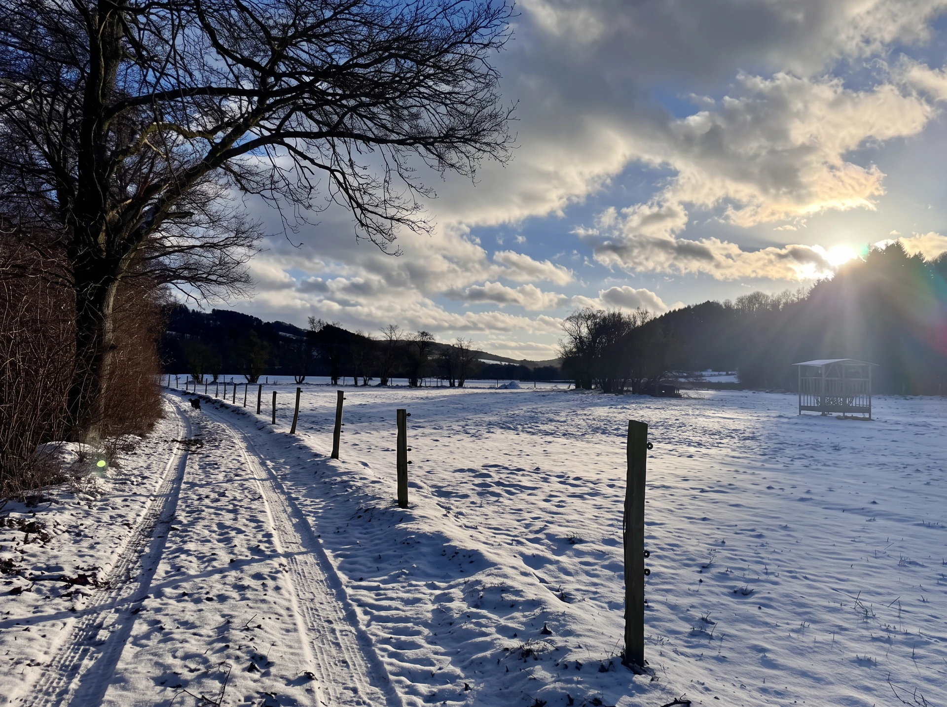 De weide met winterzon
