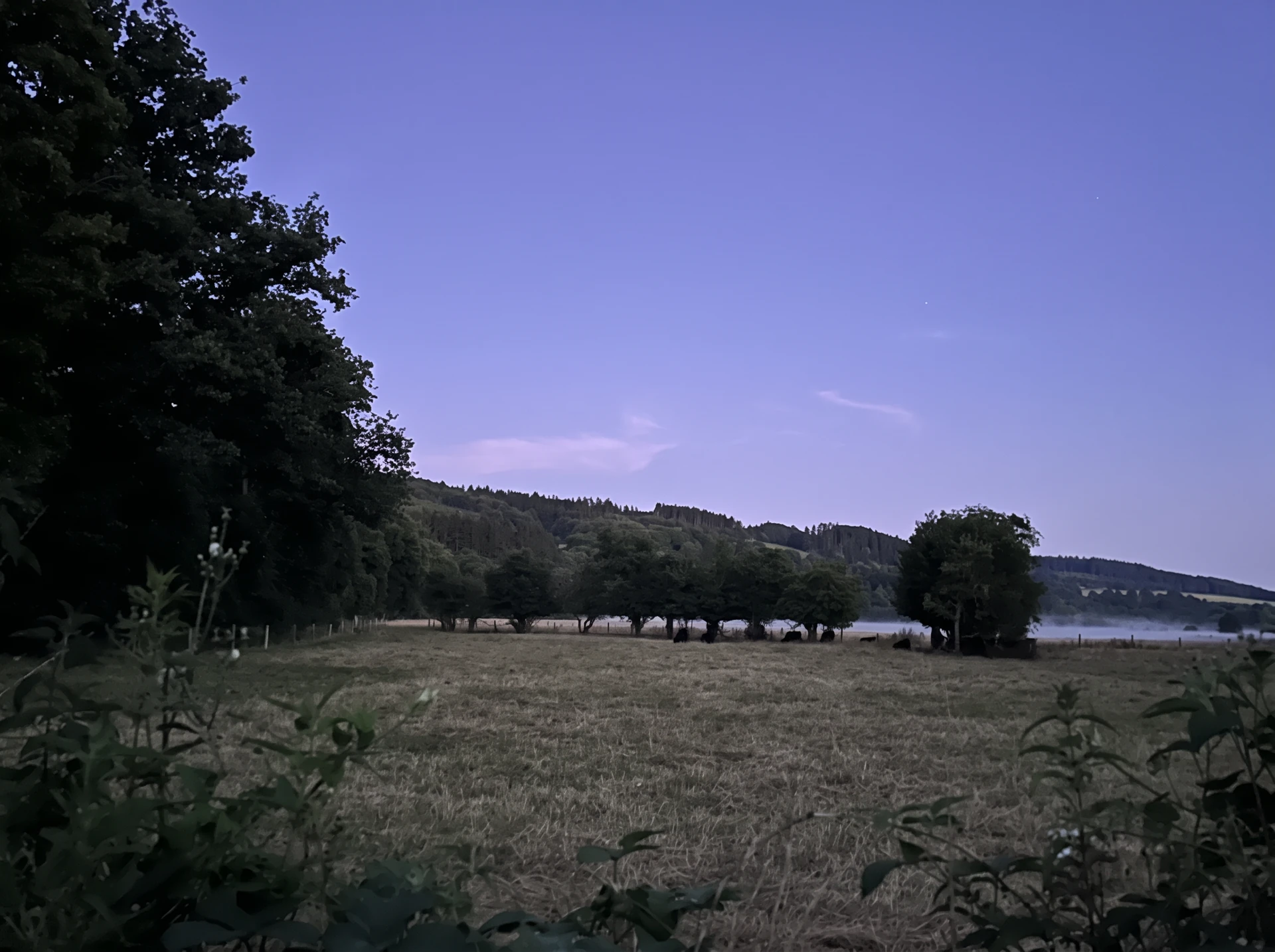 Avondlicht over de velden